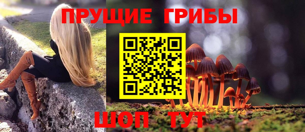 Галлюциногенные грибы прущие грибы  Псилоцибиновые грибы Magic Shrooms  Вход с VPN  Луга 
